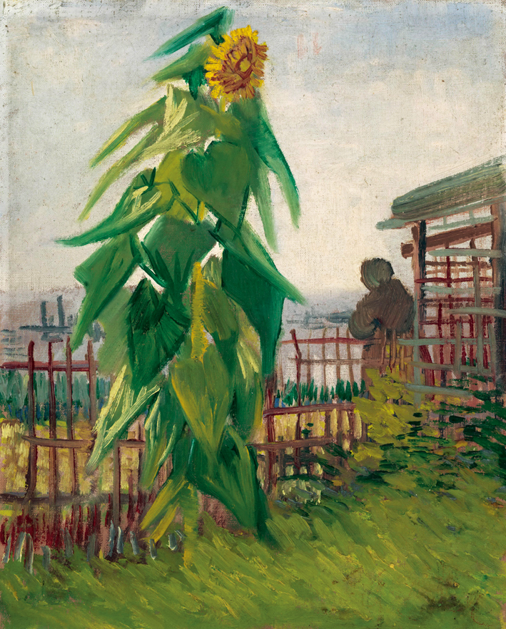  文森特·威廉·梵高  Vincent Willen Van Gogh —— 公园里的向日葵